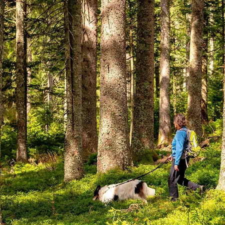 Blütenzauber * Todtnau